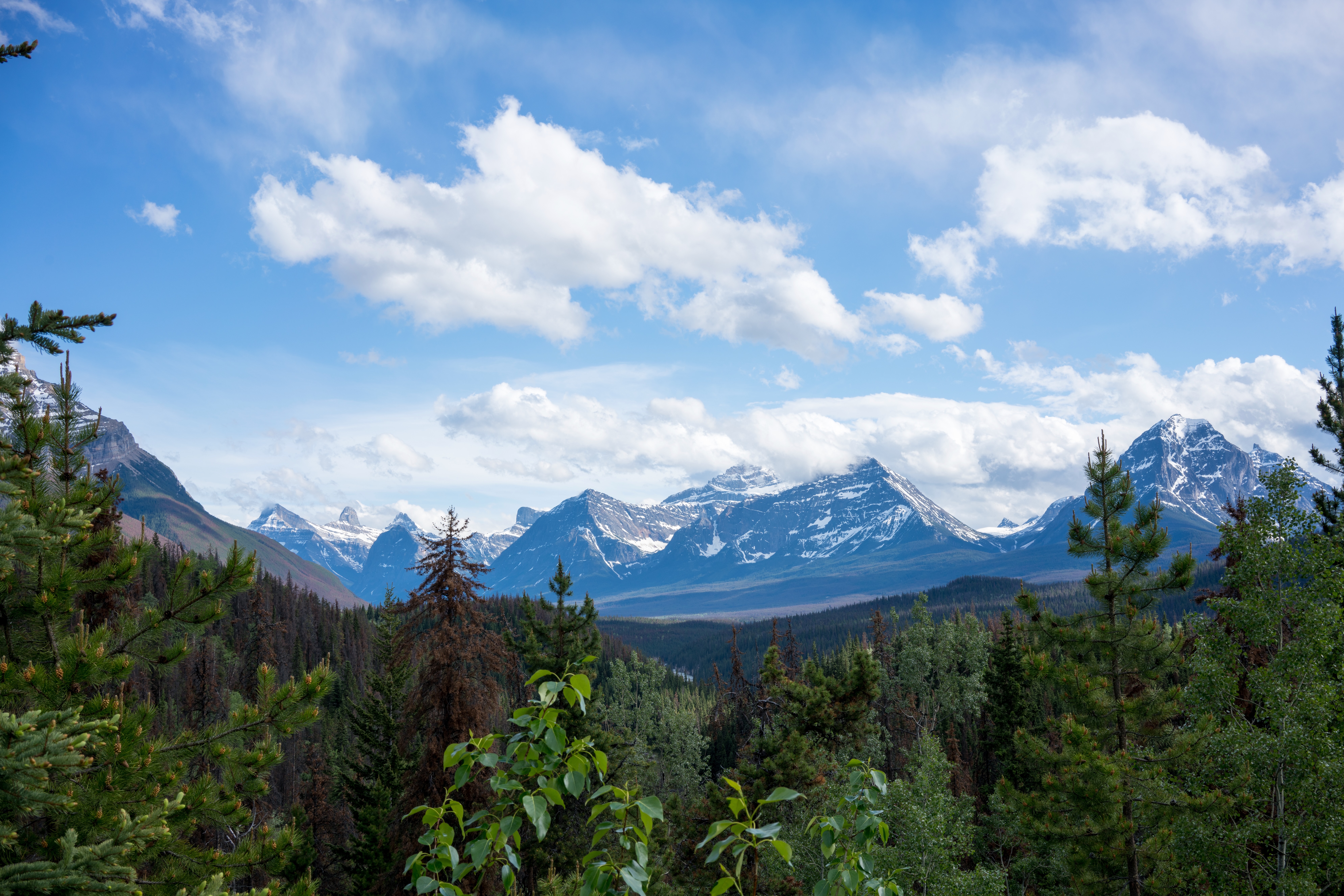 Banff Mountains Snow capped peaks and forest