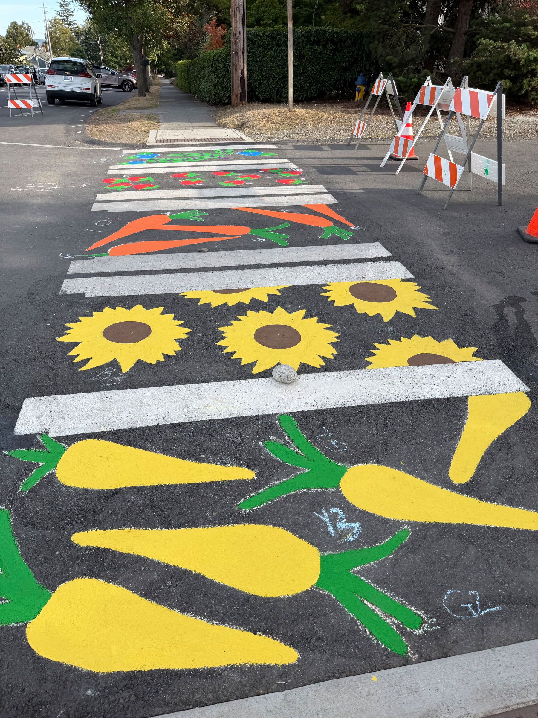 A colorful street painting depicts a stylized sun with rays, mountains, and a branch with pink flowers, all encircled by a blue border.