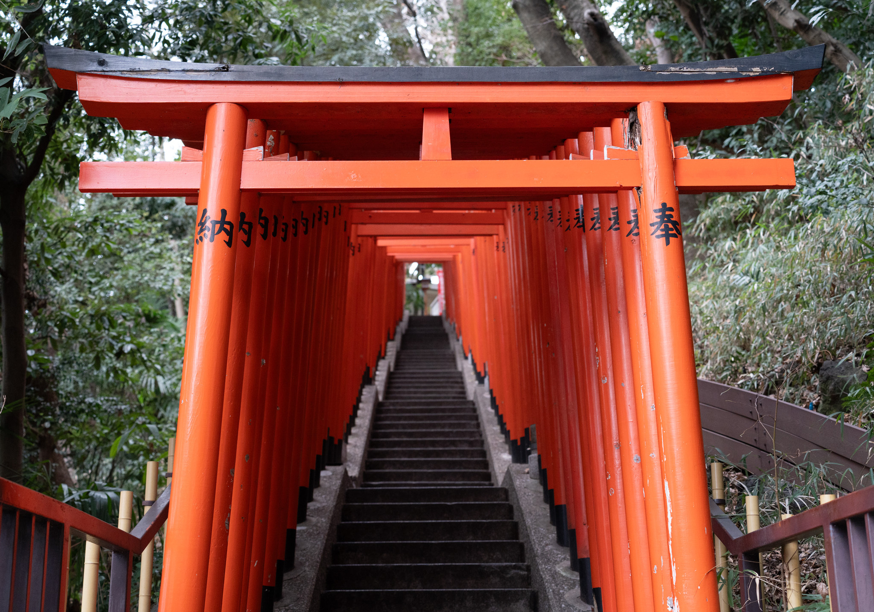A series of red torii gates line a staircase leading upwards through a wooded area.