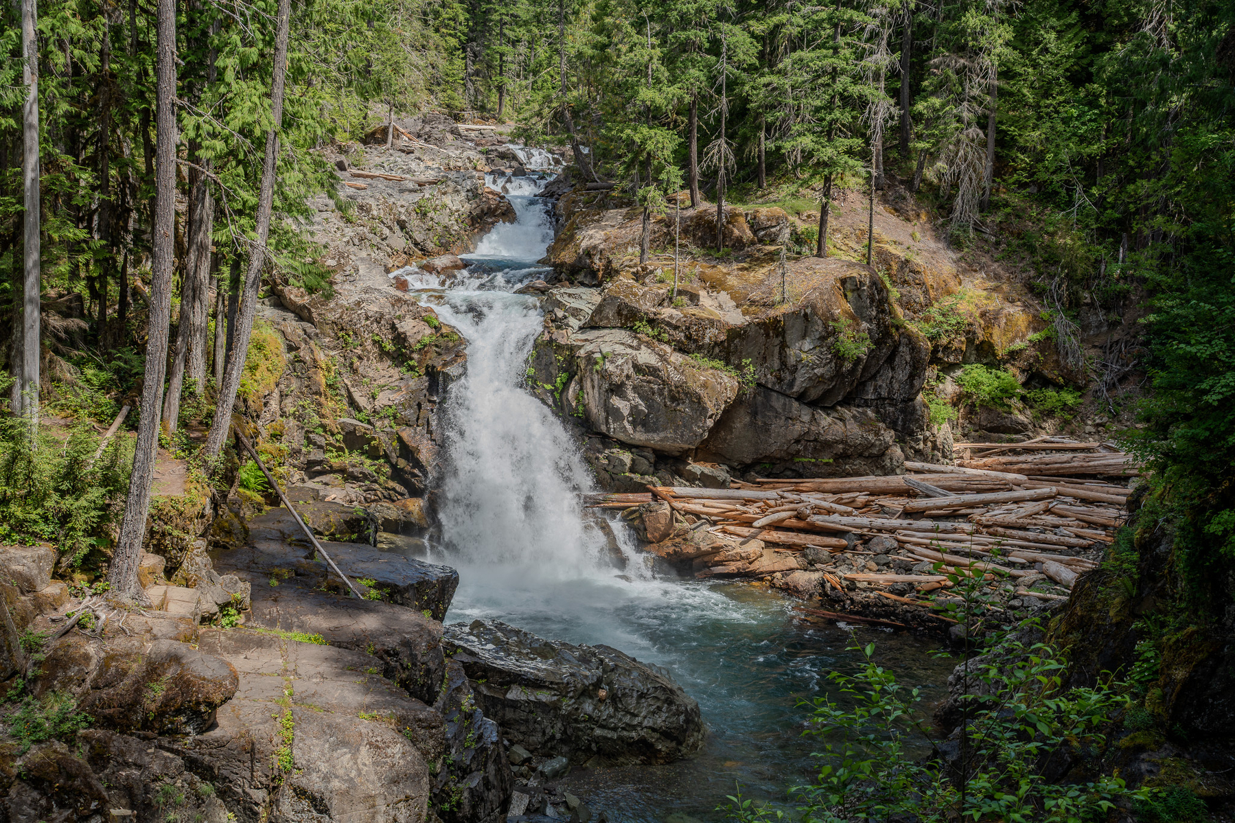 A cascading waterfall flows through a rocky forested landscape with logs scattered near the water's edge.