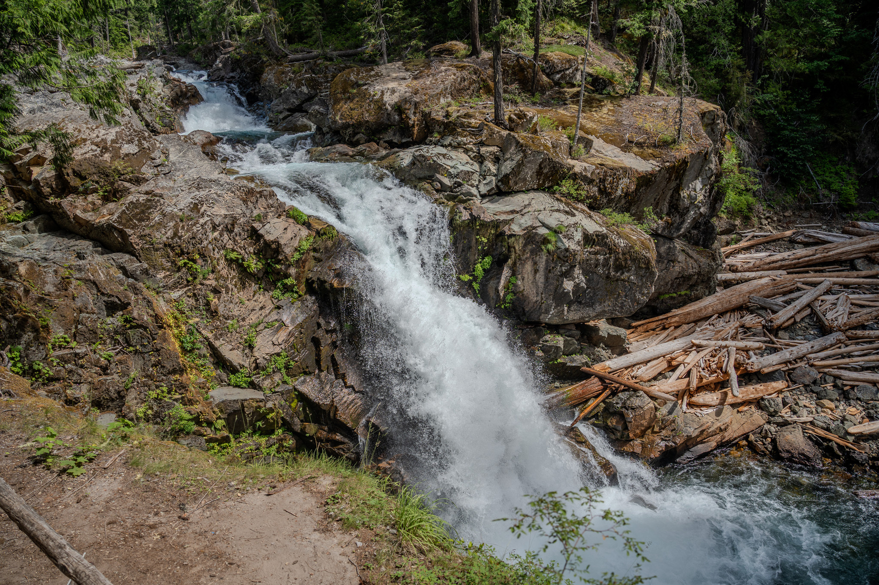 A waterfall cascades over rugged rocks surrounded by trees and a pile of logs on the side.